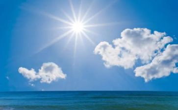 校园的夏天作文8篇