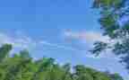 写夏天美景的作文400字8篇