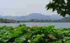 描写夏天的作文优质5篇