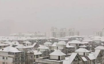 下雪前的作文通用5篇