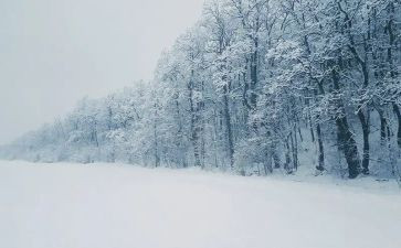 优秀下雪作文8篇