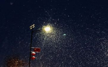 写下雪的作文300字7篇