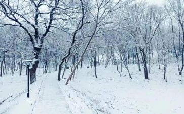 优秀下雪作文最新5篇
