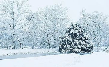 下雪前的作文精选8篇