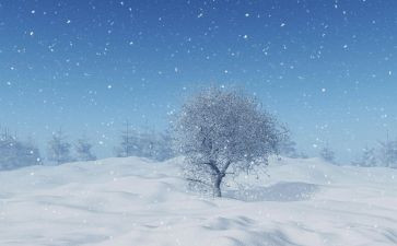 描写下雪的作文7篇