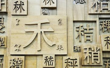 形近字作文两百字推荐5篇