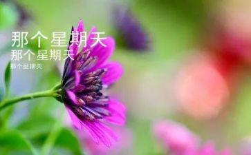 快乐星期天的作文参考5篇