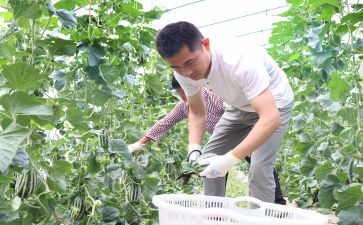 新农村党工作总结参考5篇