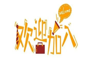 新人试用期工作总结最新6篇