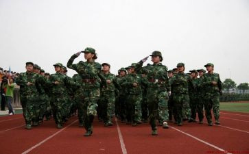 新生学生会工作总结6篇