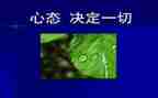 宽容心态的演讲稿8篇