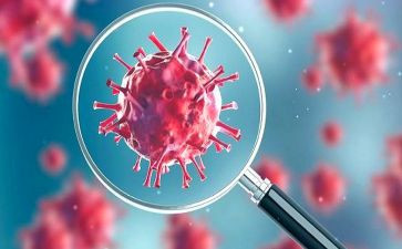 新型冠状病毒肺炎防控方案培训总结6篇