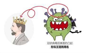 新型冠状病毒作文推荐6篇