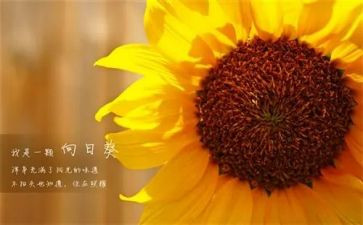 新一年的工作计划5篇