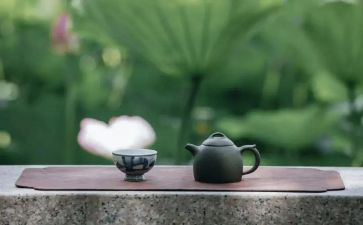 修养作文推荐5篇