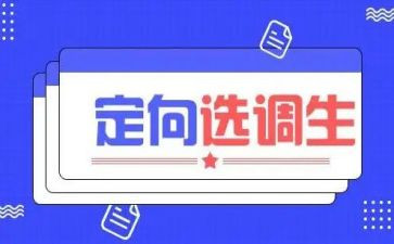 选调工作总结7篇