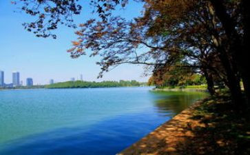 游玄武湖作文优秀6篇