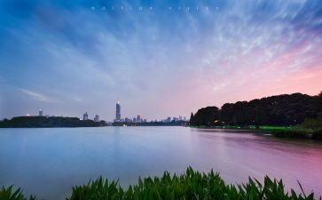 游玄武湖作文7篇