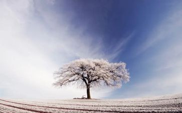 二年级雪的作文100字5篇