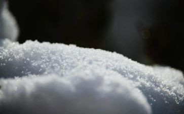 等雪的作文550字最新8篇
