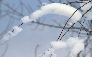二年级雪的作文200字8篇
