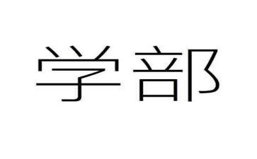 大学部门的述职报告5篇