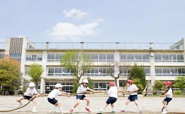 大学生军训心得体会600字8篇