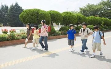 男大学生年度总结最新8篇