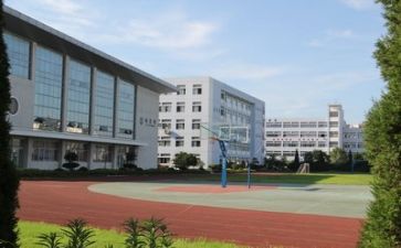 在学校的年度工作总结优秀5篇