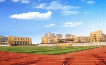 学校个人年度工作总结模板7篇