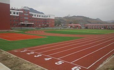 学校个人总结通用8篇