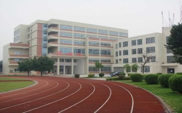 学校述职报告范文8篇