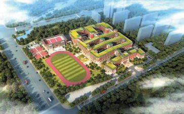 学校的管理和心得体会7篇