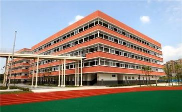 来学校以后的心得体会8篇