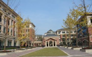 去特殊学校心得体会7篇