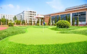 学校出纳述职报告5篇