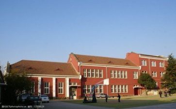 学校年度培训工作总结8篇