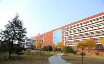 学校生活部工作总结模板7篇