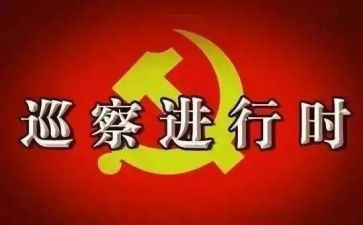 第x组巡察工作总结通用7篇