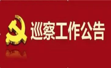 对村巡察工作总结5篇