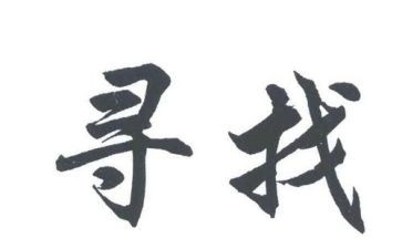寻访心得体会最新5篇