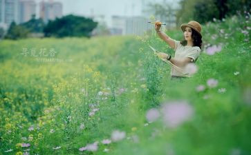 寻觅春的足迹作文最新8篇