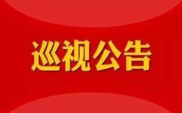个人巡视工作总结5篇