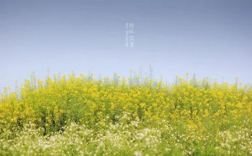 优秀作文600字叙事6篇