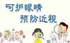 小眼睛的作文优秀7篇