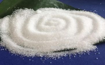 盐实验的作文优质5篇