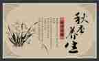 美容养生活动方案6篇