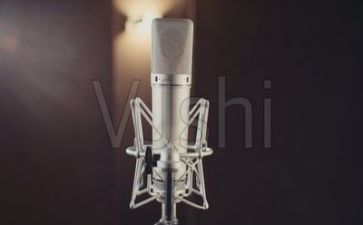 我们演讲稿推荐6篇