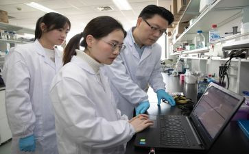 电的研究调查报告5篇