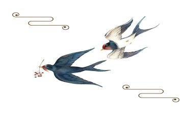 描写小燕子的作文7篇